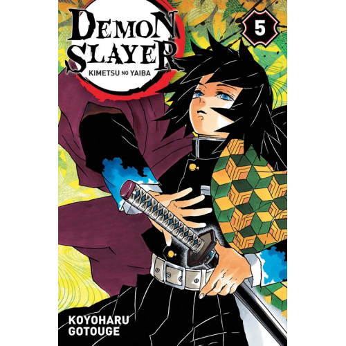 Demon Slayer Tome 5 (VF)