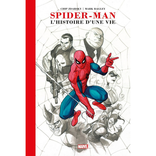 Spider Man : L'histoire d'une vie Artist Edition (VF)