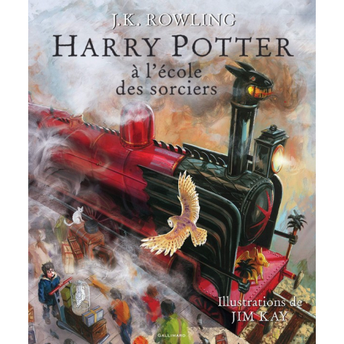 Harry Potter à l'école des sorciers Livre Illustré (VF)