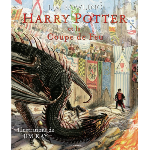 Harry Potter IV : Harry Potter et la Coupe de Feu Livre Illustré (VF)