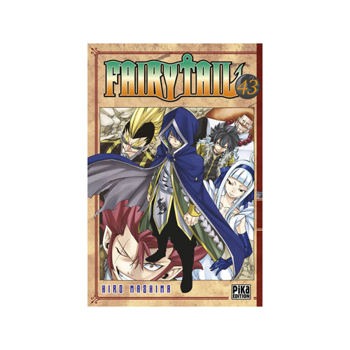Fairy Tail T43 (VF)