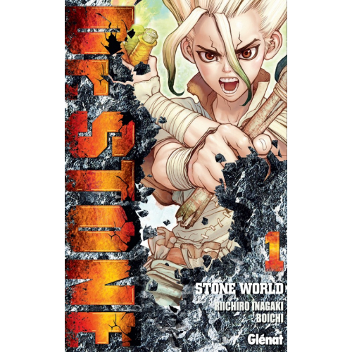 Dr Stone Tome 1 (VF) Occasion