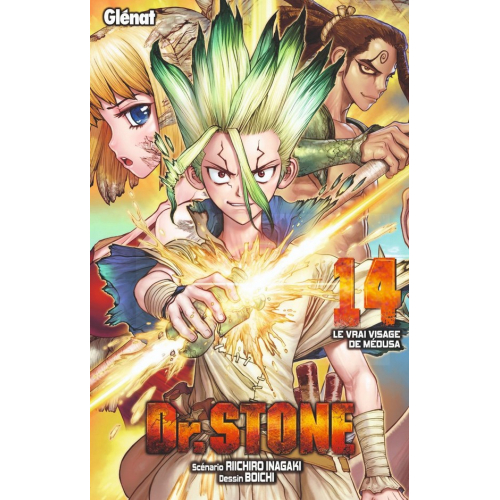 Dr Stone Tome 14 (VF)
