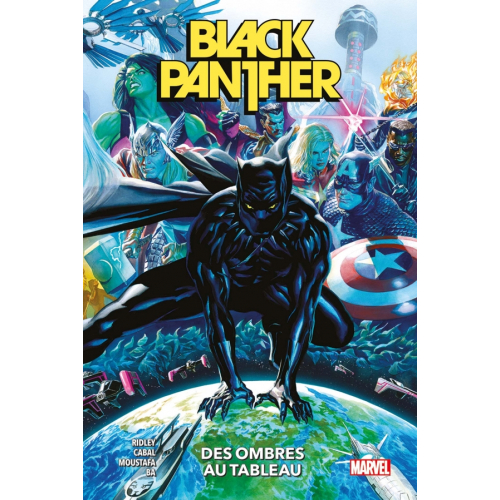 Black Panther T01 : Des ombres au tableau (VF)