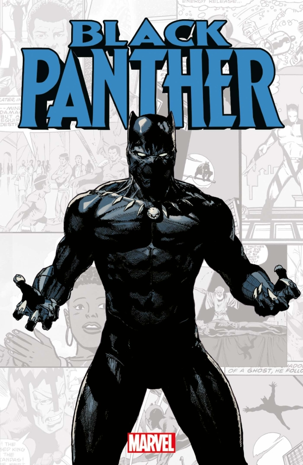 Marvel-Verse : Black Panther (VF)