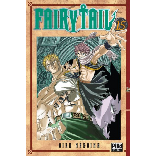 Fairy Tail T15 (VF)
