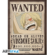 ONE PIECE - Portfolio 9 posters wanted Luffy's crew Wano (21x29,7)