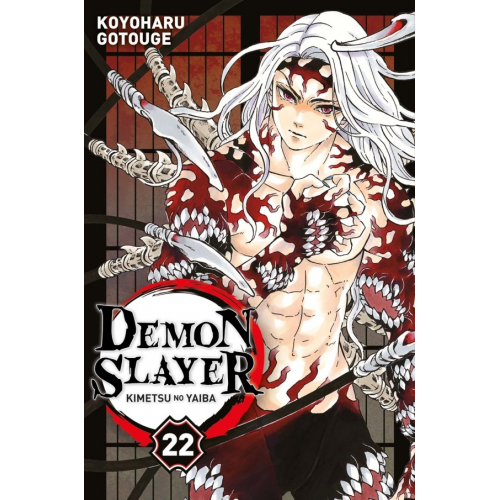Demon Slayer Tome 22 (VF) occasion