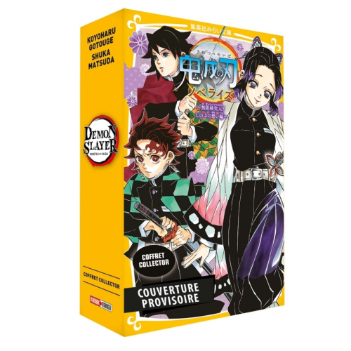 Coffret Demon Slayer T15 + Roman jeunesse T06 (VF)