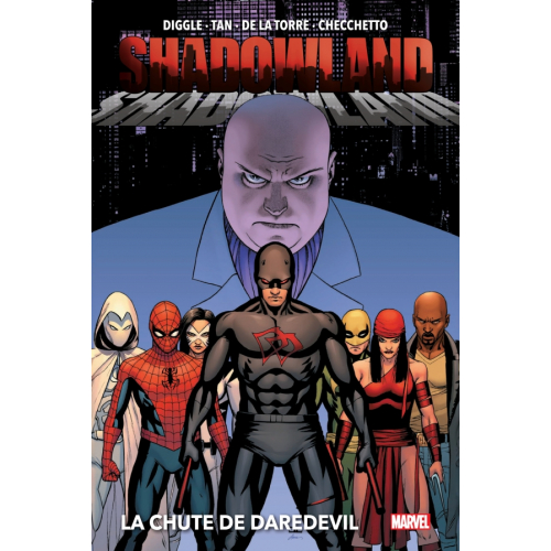 Shadowland : La chute de Daredevil (Nouvelle édition) (VF)