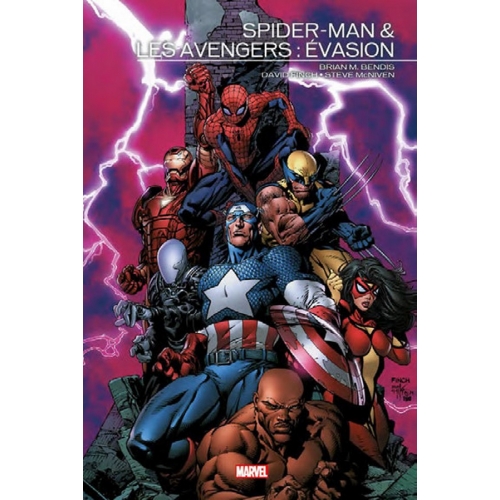 Spider-man & Avengers : Evasion (VF)